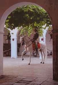 Kim en Wendy, Ik vertrek ooit, Bed & Breakfast Las dos hermanas